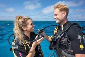 Great Barrier Reef: Heldagstur med snorkling og dykning