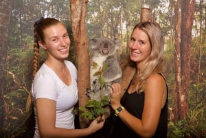 Hartley's Crocodile Adventures: Breakfast with Koalas
