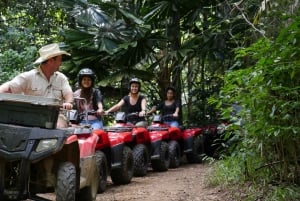 Kuranda: 1-Hour Rainforest ATV Tour
