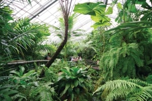 Kuranda, Cairns & Port Douglas multipark-pakke