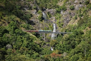 Kuranda Half Day Tour from Cairns