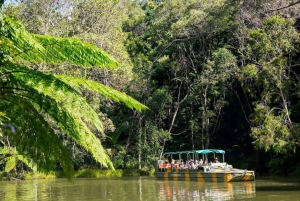 Kuranda; Rainforest, Butterflies, Boat Cruise & Aboriginals