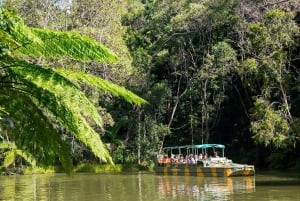 Kuranda: Rainforestation Nature Park