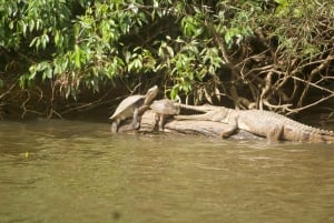 Kuranda Riverboat Tour