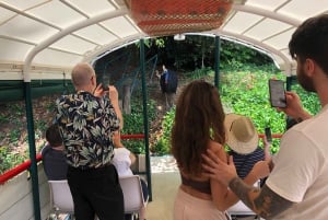 Kuranda Riverboat Tour