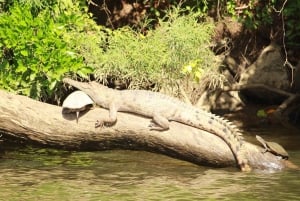 Kuranda Riverboat Tour