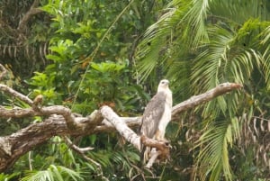 Kuranda Riverboat Tour