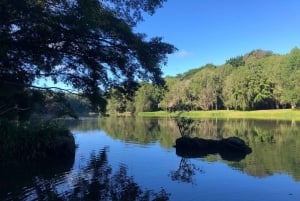 Kuranda Riverboat Tour