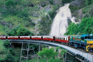 From Port Douglas: Kuranda via Scenic Rail or Skyrail Option