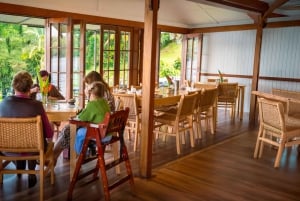 Lake Barrine Boat Cruise - Oplev Queenslands skjulte perle