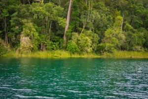 Lake Barrine Boat Cruise - Oplev Queenslands skjulte perle