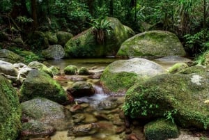 Gorge de Mossman, forêt tropicale de Daintree + pêche aborigène