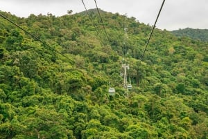 Cairns: Best of the Kuranda Rainforest Full-Day Tour & Lunch