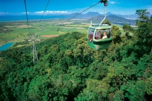 N. Queensland: Best of the Kuranda Rainforest Full-Day Tour