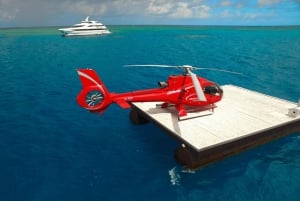 Cairns: Great Barrier Reef Cruise & Scenic Helicopter Flight