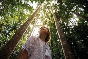 Cairns: Paronella Park Rainforest Full-Day Tour with Dinner