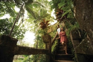 Cairns: Paronella Park Rainforest Full-Day Tour with Dinner