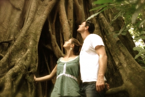 Port Douglas: Daintree National Park Boutique Tour