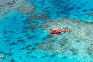 Port Douglas: Great Barrier Reef 30-minutters helikopterflyvning