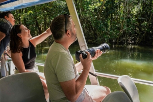 Port Douglas: Morning Daintree Tour w/ Wildlife Cruise