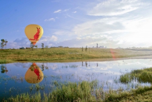 Port Douglas: Scenic Hot Air Balloon Ride