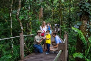 Port Douglas : Forêt du patrimoine mondial par Skyrail & Scenic Rail