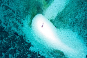 Private Sand Cay Experience with Scenic Reef Flight