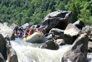 Quad Bike Tour and White-Water Rafting