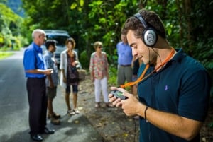 Queensland: Viagem de um dia a Cape Tribulation, Daintree e Mossman