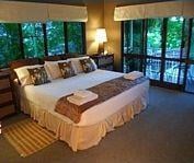 Rainforest Apartments