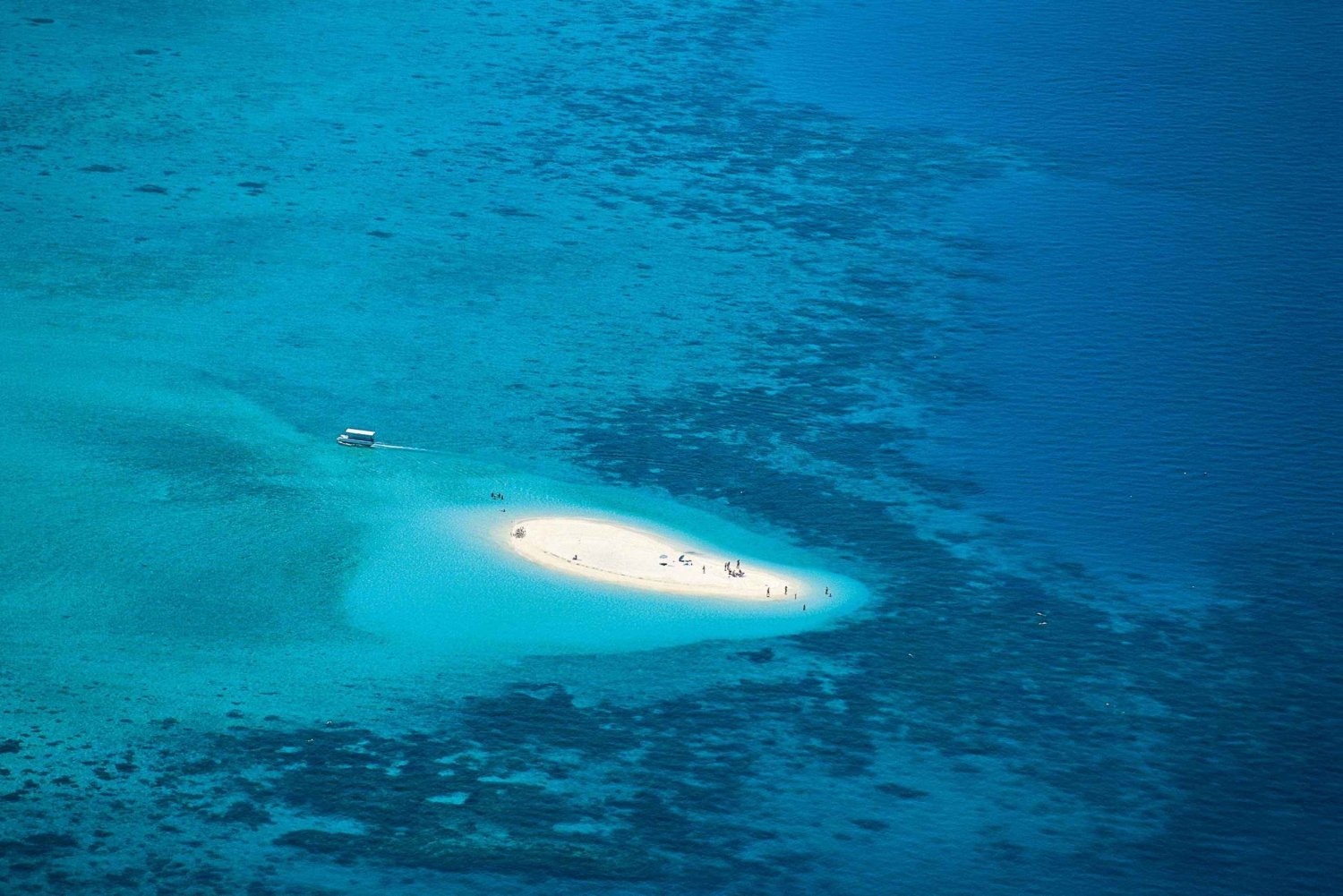 Reef & Island | Outer Reef & Dunk Island | Cairns Day Return