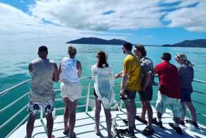 Cairns: Outer Reef Snorkel & Dunk Island Small Group Tour