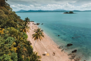 Cairns: Outer Reef Snorkel & Dunk Island Small Group Tour