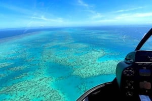 Duo della foresta pluviale della barriera corallina 60 minuti di volo panoramico
