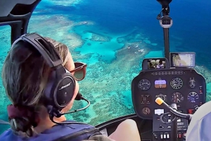 Reef Rainforest Fusion 45 minuters naturskön flygning