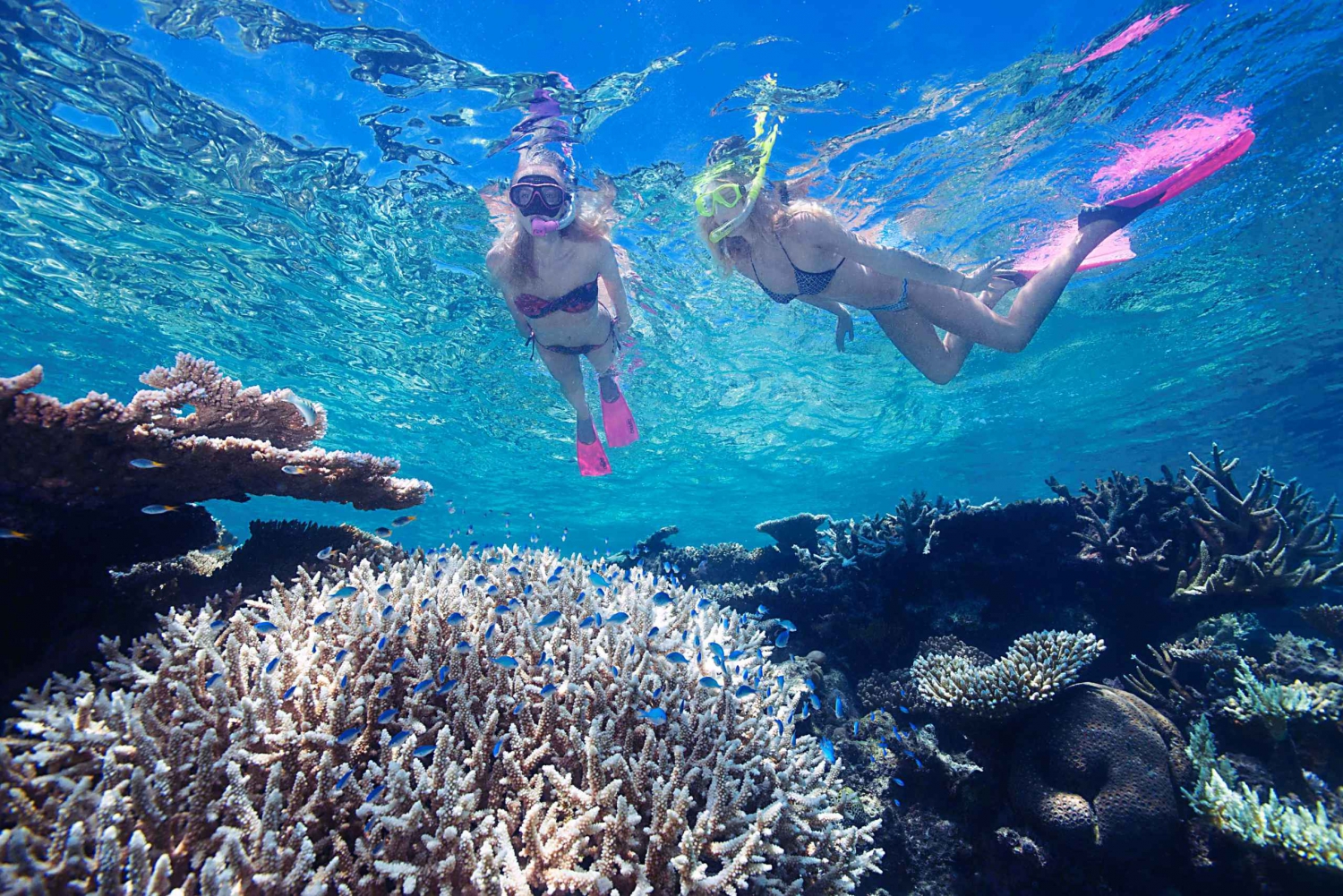 3-Day Reef, Rainforest and Outback Package