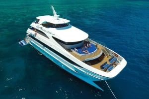 Reef, Rainforest & Outback 3-Day Tour Combo from Cairns