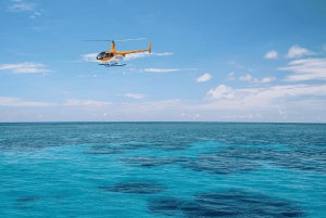 Cairns: Reef Zoom Half Day Helicopter & Snorkeling Tour
