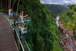 Seilbahn Skyrail Rainforest Cableway: Hin- und Rückfahrt