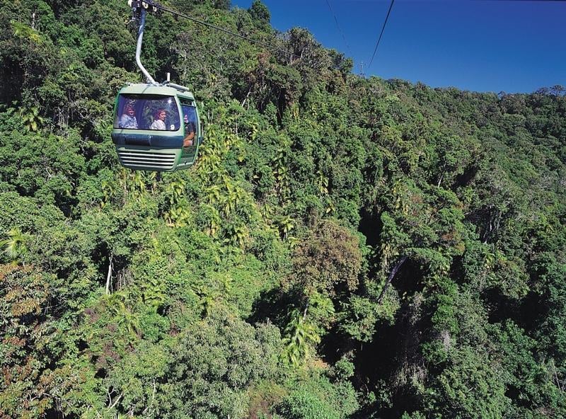 Skyrail Rainforest Cableway