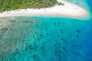 Cairns : Circuit des îles Frankland et de la Grande Barrière de Corail