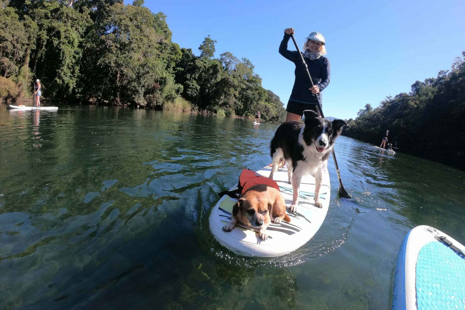 Cairns: Standup Paddleboard Tour in Goldsborough Valley