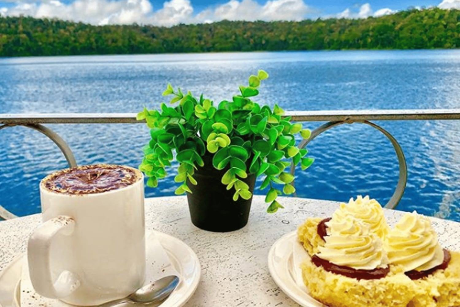 Seværdigheder i Tablelands og Daintree-regnskoven (2-dages ture)