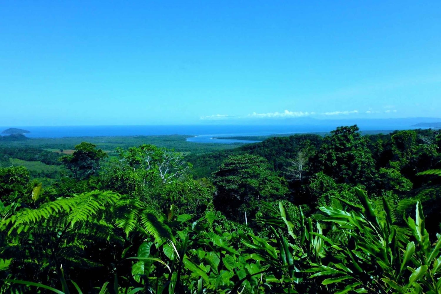 Seværdigheder i Tablelands og Daintree-regnskoven (2-dages ture)
