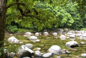 Seværdigheder i Tablelands og Daintree-regnskoven (2-dages ture)