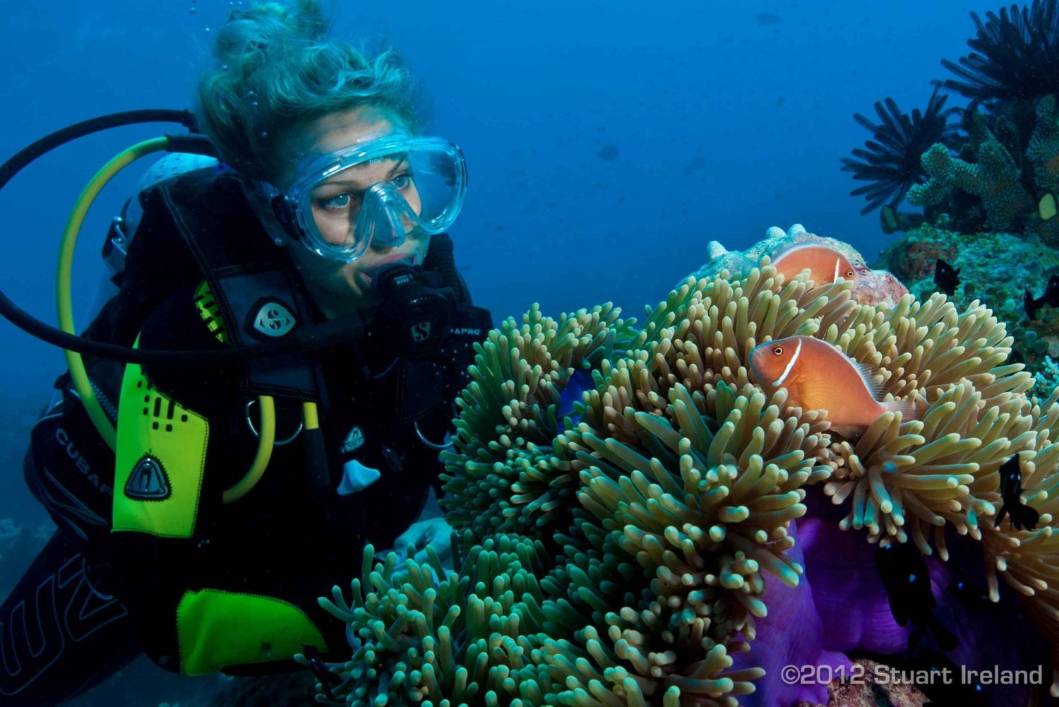 Cairns: Great Barrier Reef Scuba Diving Tour