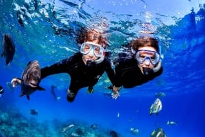 Cairns : Circuit de plongée sous-marine dans la Grande Barrière de Corail