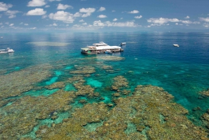 Ultimate Great Barrier Reef Cruise with Marine World Pontoon