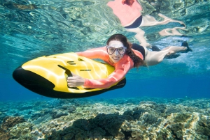 Ultimate Great Barrier Reef Cruise with Marine World Pontoon