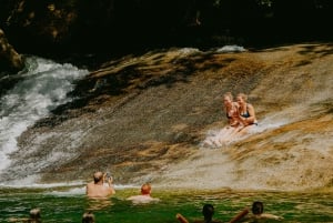 Waterfall, Wildlife and Rainforest Tour from Cairns